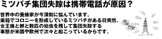 �~�c�o�`�W�c���H�͌g�ѓd�b�������H